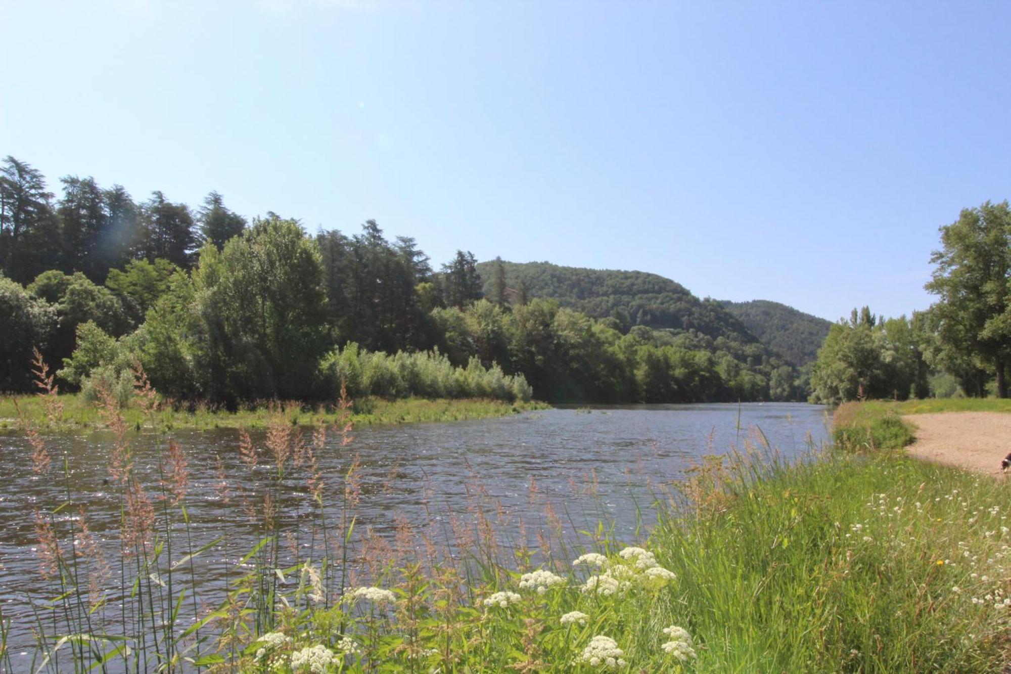 Zenlife Leilighet Aurec-Sur-Loire Eksteriør bilde